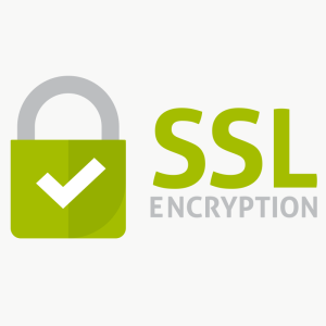 Basic SSL Certificate